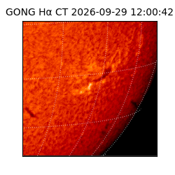 gong - 2026-09-29T12:00:42