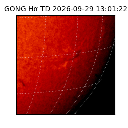 gong - 2026-09-29T13:01:22