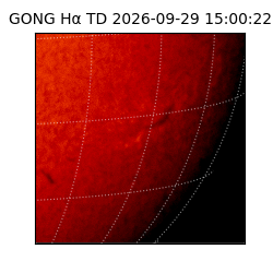gong - 2026-09-29T15:00:22