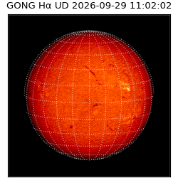 gong - 2026-09-29T11:02:02