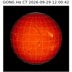 gong - 2026-09-29T12:00:42