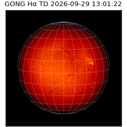 gong - 2026-09-29T13:01:22