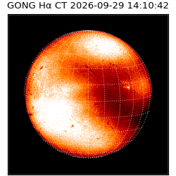 gong - 2026-09-29T14:10:42