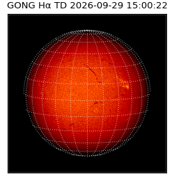 gong - 2026-09-29T15:00:22