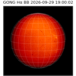 gong - 2026-09-29T19:00:02