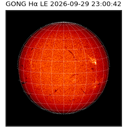 gong - 2026-09-29T23:00:42