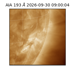 saia - 2026-09-30T09:00:04.842000