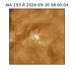 saia - 2026-09-30T08:00:04.842000