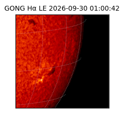 gong - 2026-09-30T01:00:42