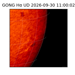 gong - 2026-09-30T11:00:02