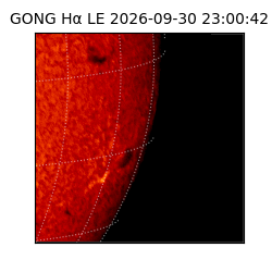 gong - 2026-09-30T23:00:42