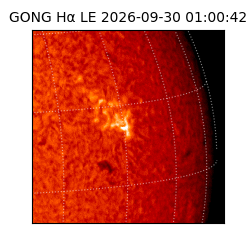 gong - 2026-09-30T01:00:42