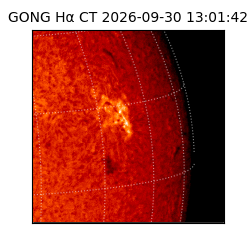 gong - 2026-09-30T13:01:42