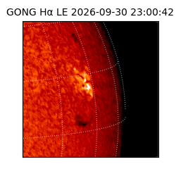 gong - 2026-09-30T23:00:42