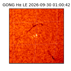gong - 2026-09-30T01:00:42