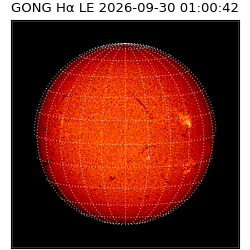 gong - 2026-09-30T01:00:42