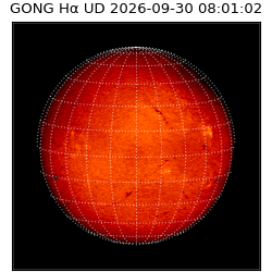 gong - 2026-09-30T08:01:02