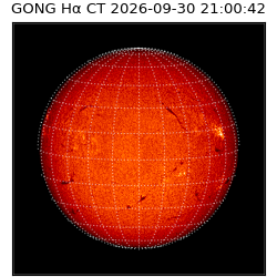 gong - 2026-09-30T21:00:42