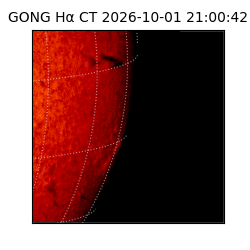 gong - 2026-10-01T21:00:42
