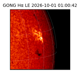 gong - 2026-10-01T01:00:42