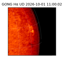 gong - 2026-10-01T11:00:02