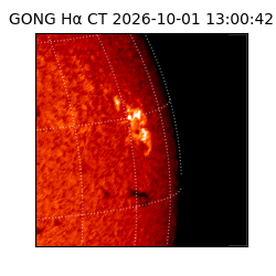 gong - 2026-10-01T13:00:42