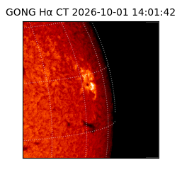 gong - 2026-10-01T14:01:42