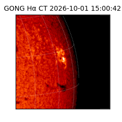 gong - 2026-10-01T15:00:42