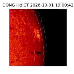 gong - 2026-10-01T19:00:42