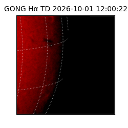 gong - 2026-10-01T12:00:22