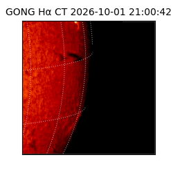gong - 2026-10-01T21:00:42