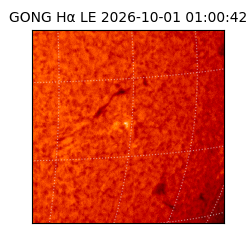 gong - 2026-10-01T01:00:42