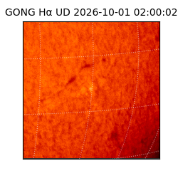 gong - 2026-10-01T02:00:02