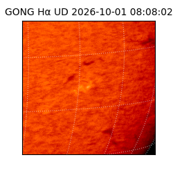 gong - 2026-10-01T08:08:02