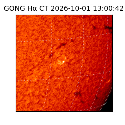 gong - 2026-10-01T13:00:42