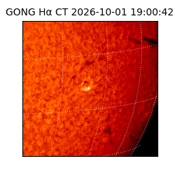 gong - 2026-10-01T19:00:42
