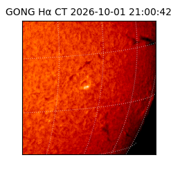 gong - 2026-10-01T21:00:42