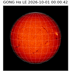 gong - 2026-10-01T00:00:42
