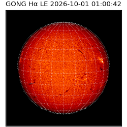 gong - 2026-10-01T01:00:42