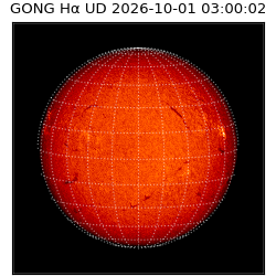 gong - 2026-10-01T03:00:02