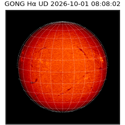 gong - 2026-10-01T08:08:02