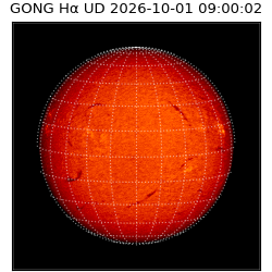 gong - 2026-10-01T09:00:02