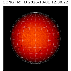 gong - 2026-10-01T12:00:22