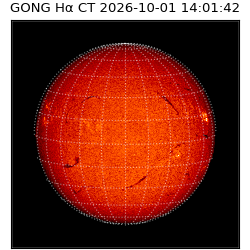 gong - 2026-10-01T14:01:42