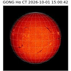 gong - 2026-10-01T15:00:42