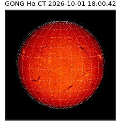 gong - 2026-10-01T18:00:42