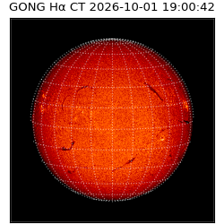 gong - 2026-10-01T19:00:42