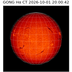 gong - 2026-10-01T20:00:42