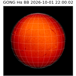 gong - 2026-10-01T22:00:02