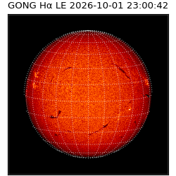 gong - 2026-10-01T23:00:42